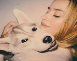 David is so fond of dogs.